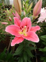 [4330 Mateo VZ No02.JPG]